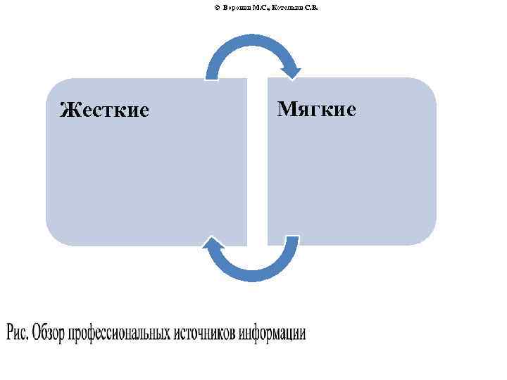 © Воронин М. С. , Котелкин С. В. Жесткие Мягкие 