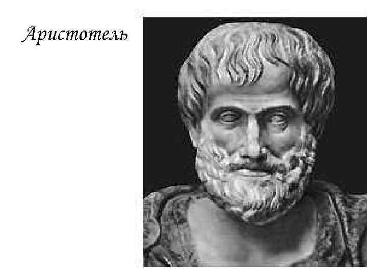 Аристотель 