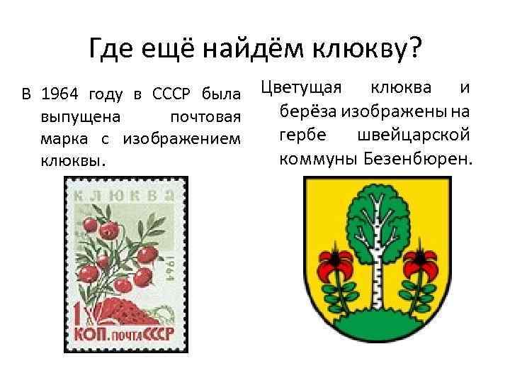 Где ещё найдём клюкву? В 1964 году в СССР была выпущена почтовая марка с