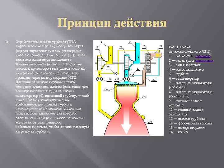 Принцип действия Отработанные газы из турбины (ТНА - Турбонасосный агрегат ) поступают через форсуночную