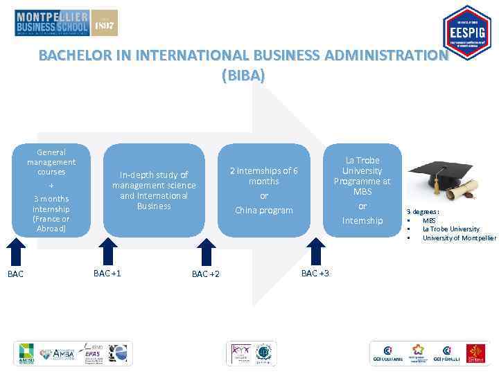 BACHELOR IN INTERNATIONAL BUSINESS ADMINISTRATION (BIBA) General management courses + 3 months internship (France