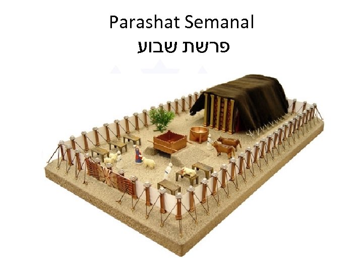 Parashat Semanal פרשת שבוע 