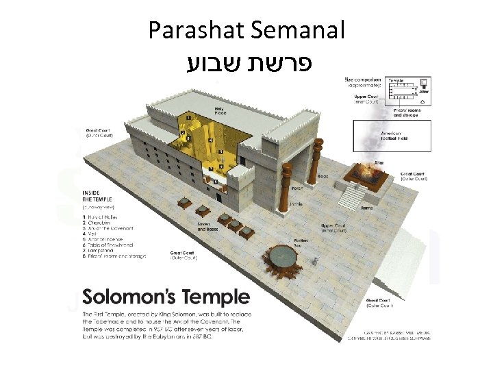 Parashat Semanal פרשת שבוע 