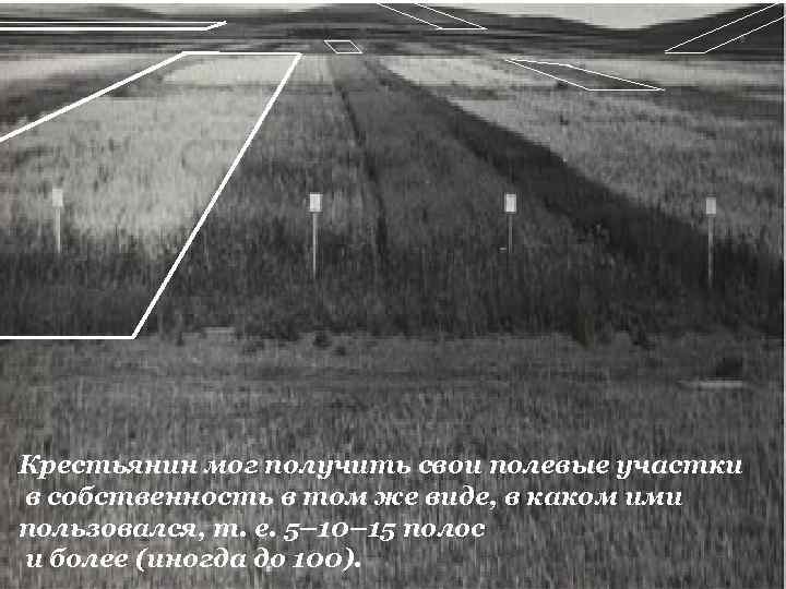 Крестьянин мог получить свои полевые участки в собственность в том же виде, в каком