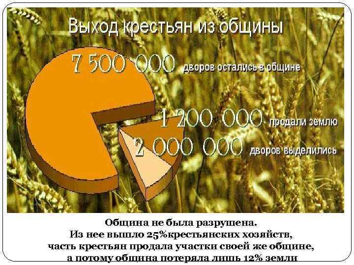 Община не была разрушена. Из нее вышло 25%крестьянских хозяйств, часть крестьян продала участки своей