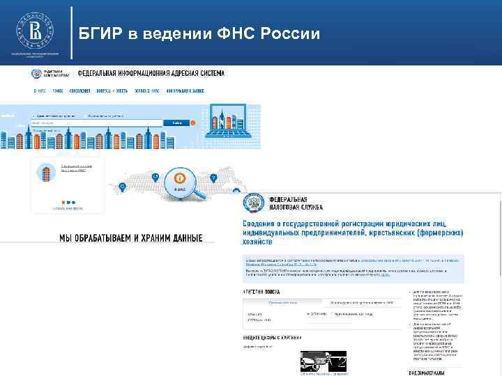 БГИР в ведении ФНС России 