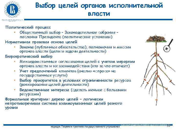 Выбор целей органов исполнительной власти Политический процесс • Общественный выбор – Законодательное собрание –