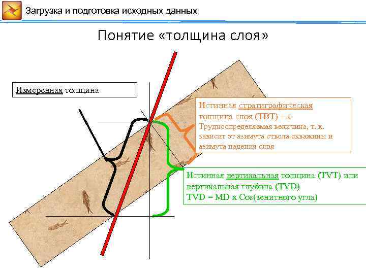 Загрузка и подготовка исходных данных Сейсмические данные Понятие «толщина слоя» Измеренная толщина Истинная стратиграфическая