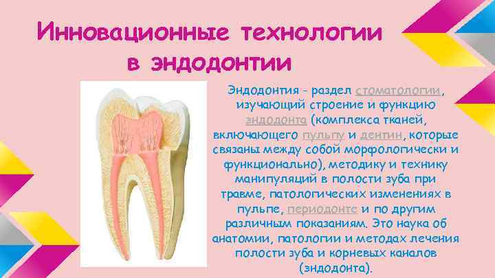 Презентации по эндодонтии