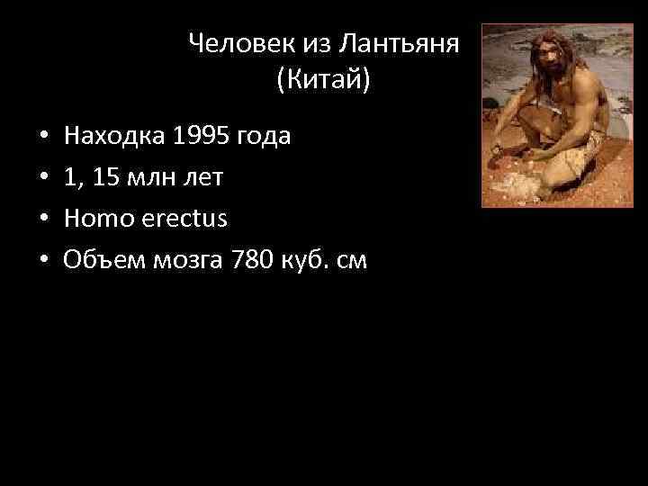 Человек из Лантьяня (Китай) • • Находка 1995 года 1, 15 млн лет Homo