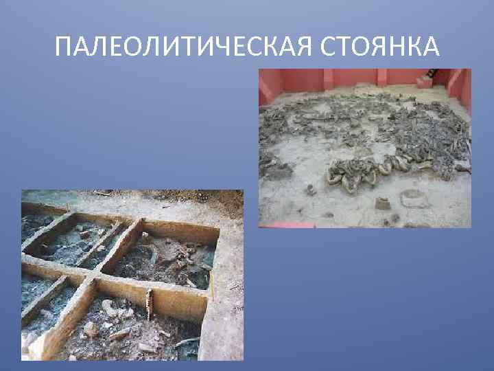 ПАЛЕОЛИТИЧЕСКАЯ СТОЯНКА 