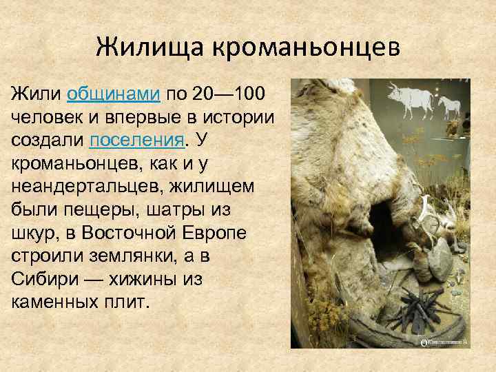 Жилища кроманьонцев Жили общинами по 20— 100 человек и впервые в истории создали поселения.