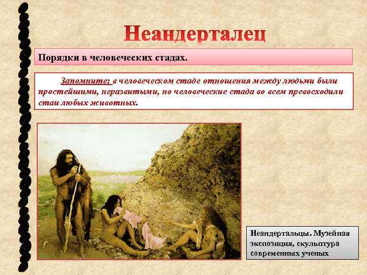 Порядки в человеческих стадах. Запомните: в человеческом стаде отношения между людьми были простейшими, неразвитыми,