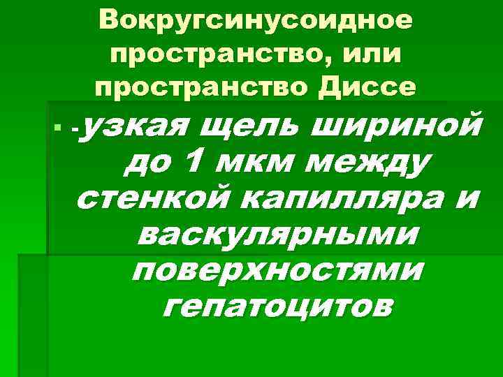 Вокругсинусоидное пространство, или пространство Диссе § -узкая щель шириной до 1 мкм между стенкой