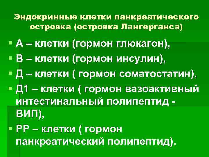 Эндокринные клетки панкреатического островка (островка Лангерганса) § А – клетки (гормон глюкагон), § В