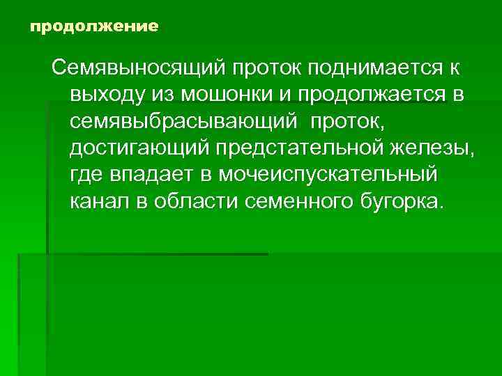 продолжение Семявыносящий проток поднимается к выходу из мошонки и продолжается в семявыбрасывающий проток, достигающий