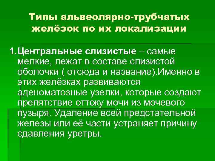 Типы альвеолярно-трубчатых желёзок по их локализации 1. Центральные слизистые – самые мелкие, лежат в