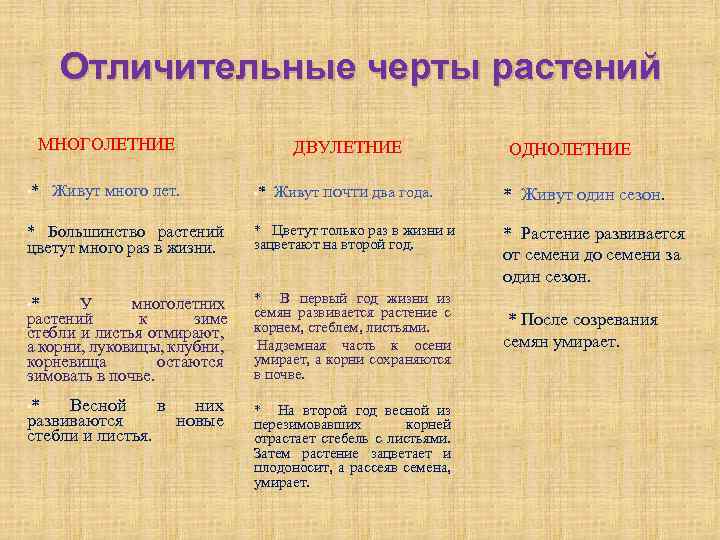 Отличительные черты растений МНОГОЛЕТНИЕ • * Живут много лет. ДВУЛЕТНИЕ • * Живут почти