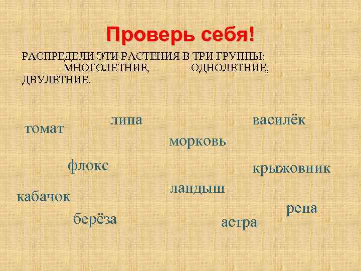 Проверь себя! РАСПРЕДЕЛИ ЭТИ РАСТЕНИЯ В ТРИ ГРУППЫ: МНОГОЛЕТНИЕ, ОДНОЛЕТНИЕ, ДВУЛЕТНИЕ. липа томат василёк