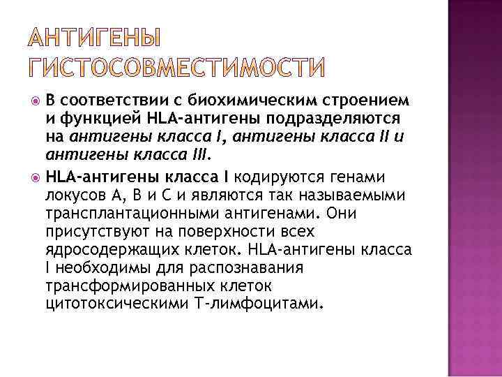 В соответствии с биохимическим строением и функцией HLA-антигены подразделяются на антигены класса I, антигены