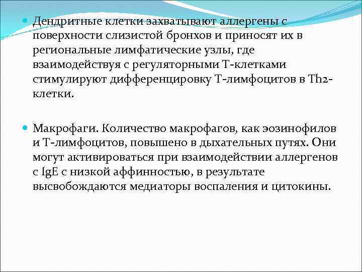  Дендритные клетки захватывают аллергены с поверхности слизистой бронхов и приносят их в региональные