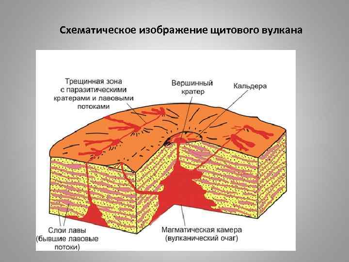 Щитовидный тип вулкана. Строение трещинного вулкана. Щитовой вулкан строение. Вулканы центрального и трещинного типа. Щитовой вулкан схема.