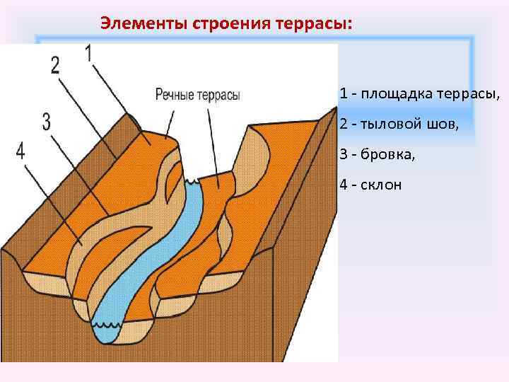 Элементы строения системы