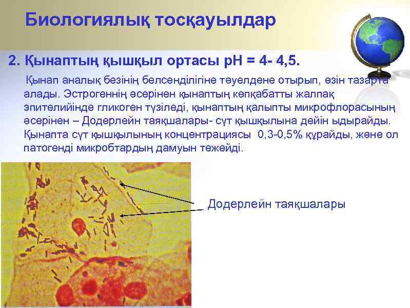 Биологиялық тосқауылдар 2. Қынаптың қышқыл ортасы p. H = 4 - 4, 5. Қынап