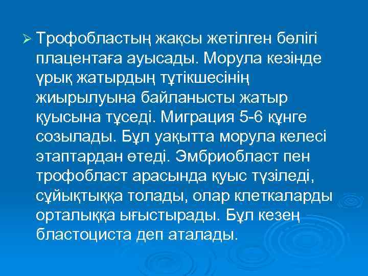 Ø Трофобластың жақсы жетілген бөлігі плацентаға ауысады. Морула кезінде үрық жатырдың тұтікшесінің жиырылуына байланысты