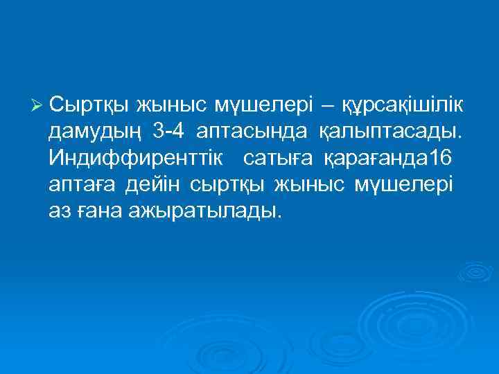 Ø Сыртқы жыныс мүшелері – құрсақішілік дамудың 3 -4 аптасында қалыптасады. Индиффиренттік сатыға қарағанда