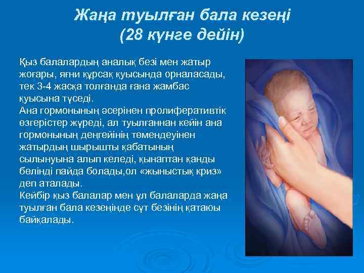 Жаңа туылған бала кезеңі (28 күнге дейін) Қыз балалардың аналық безі мен жатыр жоғары,