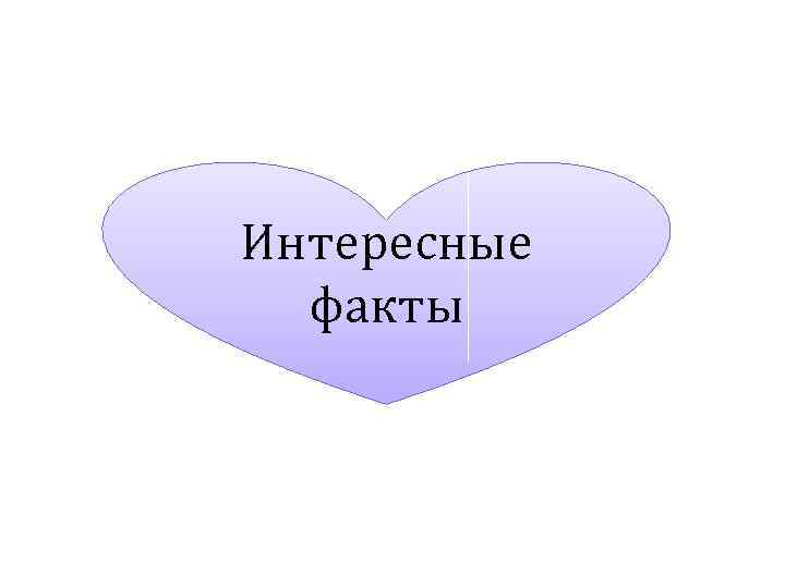 Интересные факты 