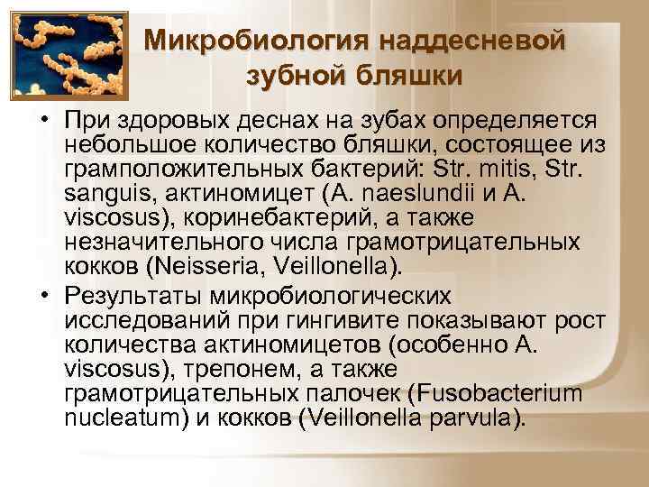 Микробиология наддесневой зубной бляшки • При здоровых деснах на зубах определяется небольшое количество бляшки,