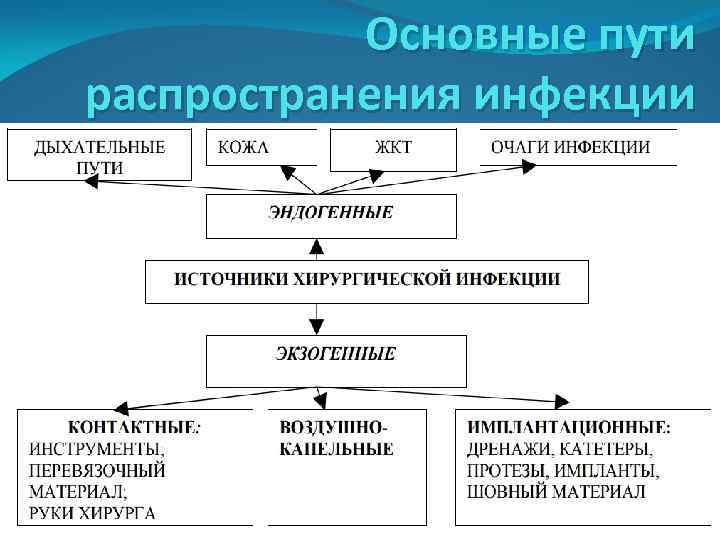 Основные пути распространения инфекции 