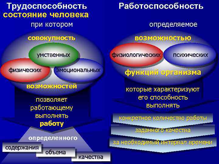 Функции возможности человека