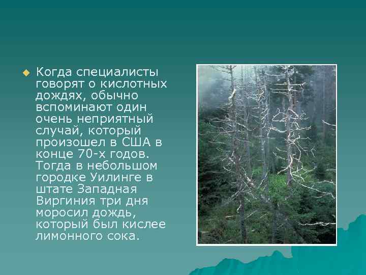 Влияние кислотных дождей на окружающую среду проект по биологии 9 класс