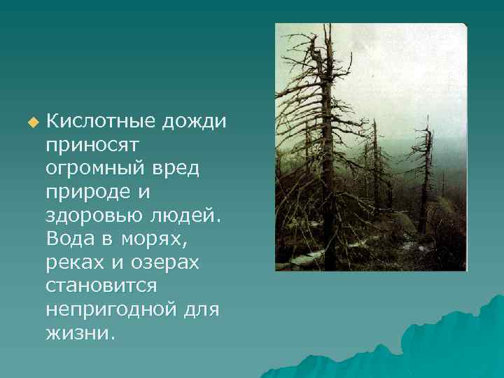 Влияние кислотных дождей на окружающую среду проект