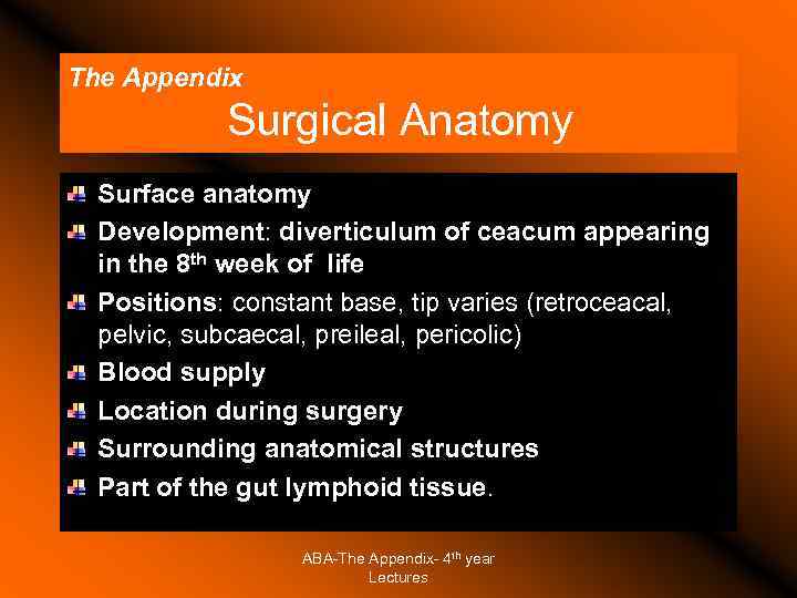 The Appendix Surgical Anatomy Surface anatomy Development: diverticulum of ceacum appearing in the 8