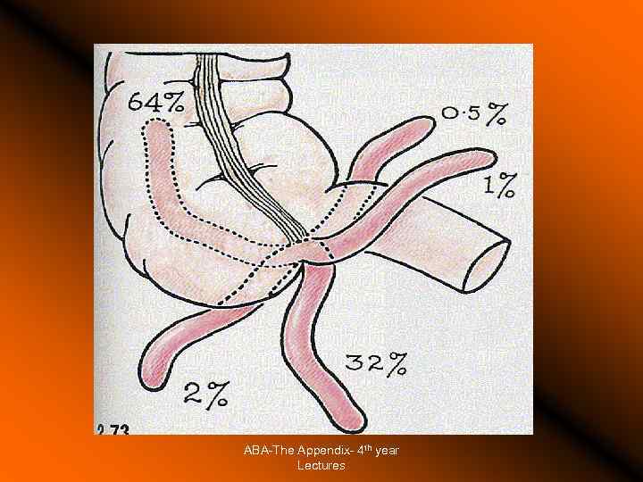 ABA-The Appendix- 4 th year Lectures 