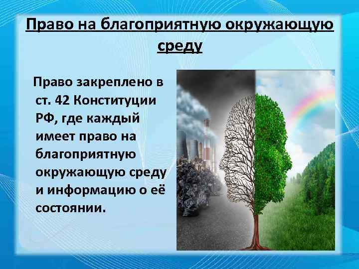 Право на благоприятную окружающую среду Право закреплено в ст. 42 Конституции РФ, где каждый