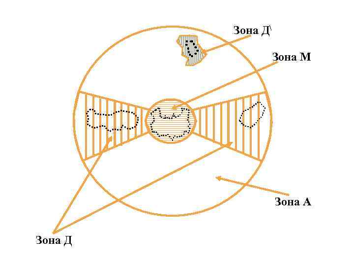 Зона Д Зона М Зона А Зона Д 