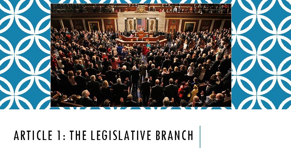 ARTICLE 1: THE LEGISLATIVE BRANCH 