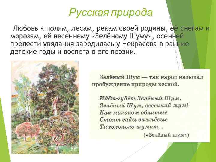 Стих шуми шуми. Некрасов Николай Алексеевич зеленый шум. Стихотворение зеленый шум Некрасов. Николай Алексеевич Некрасова зеленый шум. Зелёный шум Некрасов и Чуковский.