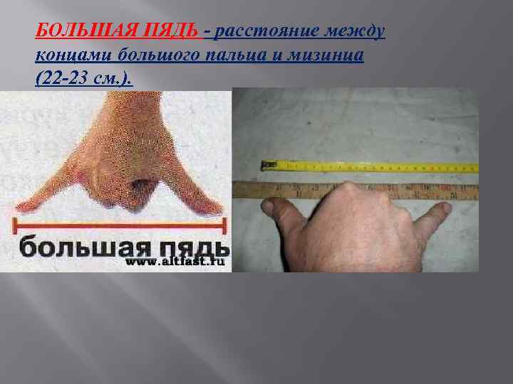 БОЛЬШАЯ ПЯДЬ - расстояние между концами большого пальца и мизинца (22 -23 см. ).