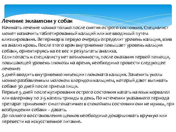 Лечение эклампсии у собак Начинать лечение можно только после снятия острого состояния. Специалист может
