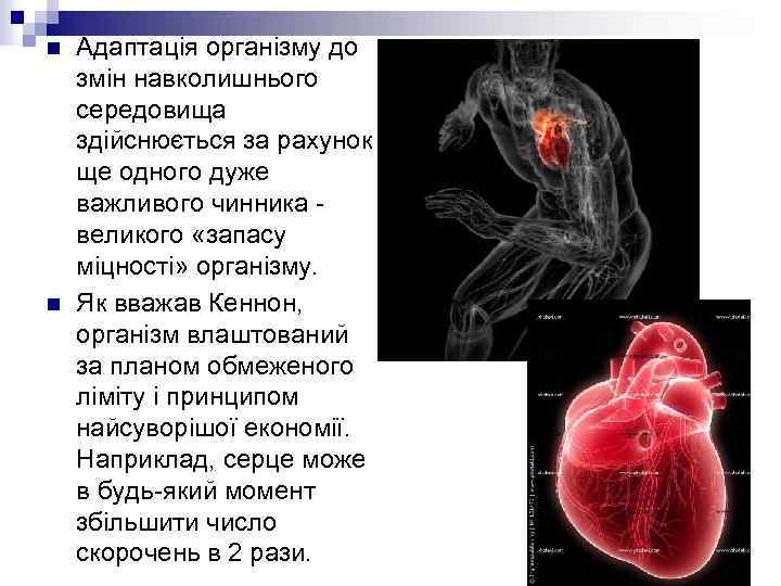 n n Адаптація організму до змін навколишнього середовища здійснюється за рахунок ще одного дуже