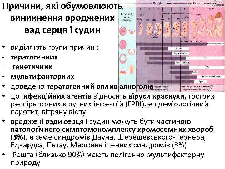 Причини, які обумовлюють виникнення вроджених вад серця і судин виділяють групи причин : тератогенних