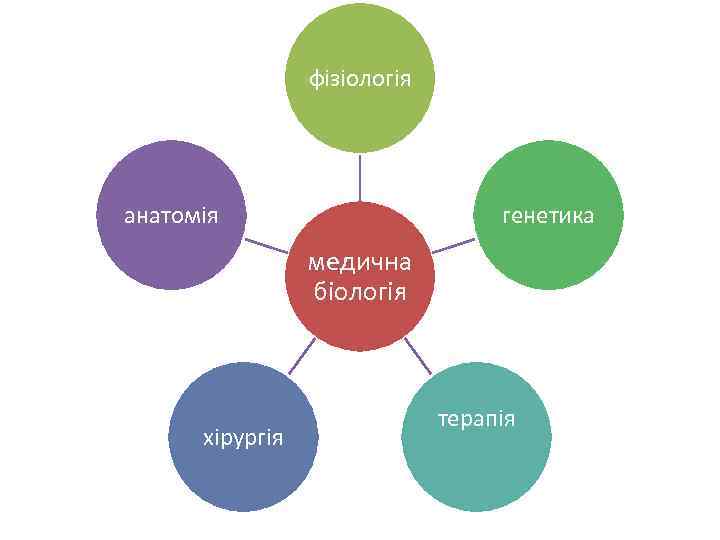 фізіологія анатомія генетика медична біологія хірургія терапія 