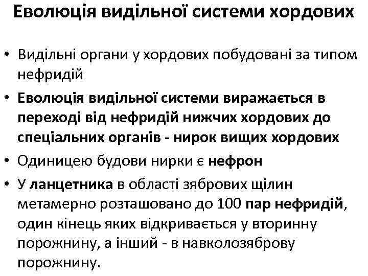 Еволюція видільної системи хордових • Видільні органи у хордових побудовані за типом нефридій •