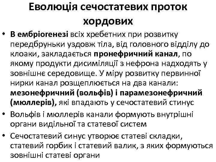 Еволюція сечостатевих проток хордових • В ембріогенезі всіх хребетних при розвитку передбруньки уздовж тіла,